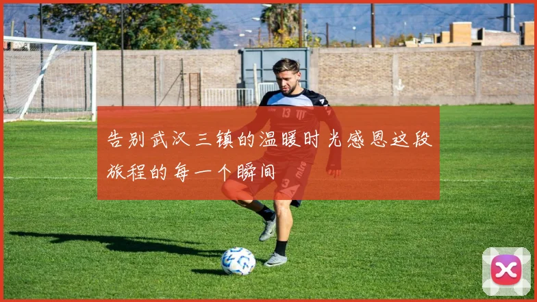 告别武汉三镇的温暖时光感恩这段旅程的每一个瞬间